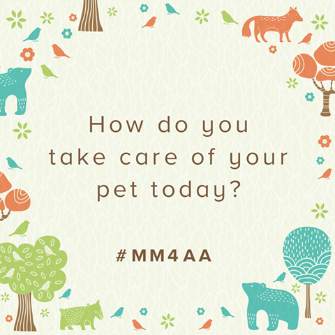 #MM4AA How do you take care of your pet today? The Miomojo social campaign has just started